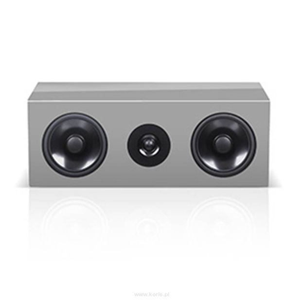 Audio Physic HHC III Center (Glass Silver Gray)