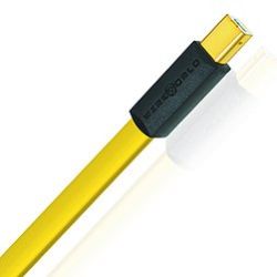 WireWorld Chroma USB 2.0 A to mini B (CSM)